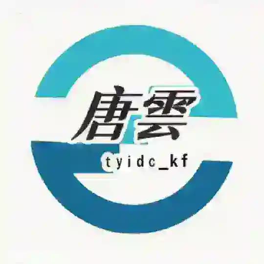 唐云-服务器/CDN/自营海外服务器机房/云服务器/物理机/云代充