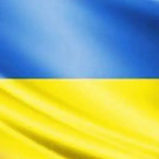 Типова Отинія