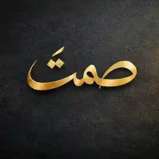 صَـمـت