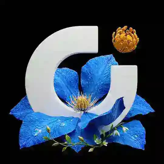 UDS Бизнес