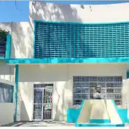 LICEO PEDRO EMILIO COLL Profile