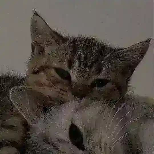 Люблю