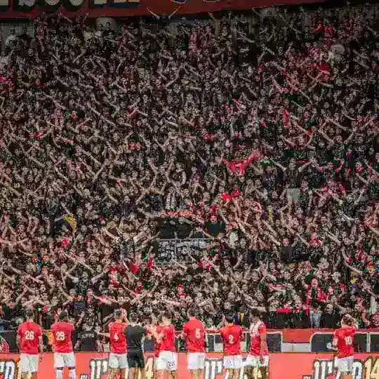 UltraSouth - דף עדכונים Profile