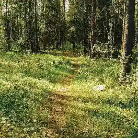 (набор в адм)я ненавижу когда..