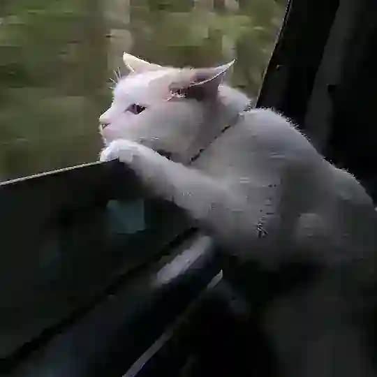 до