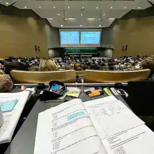 UNIVERSITY DZ