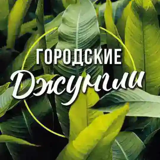Городские Джунгли // Комнатные растения // Urban-Jungle.Shop