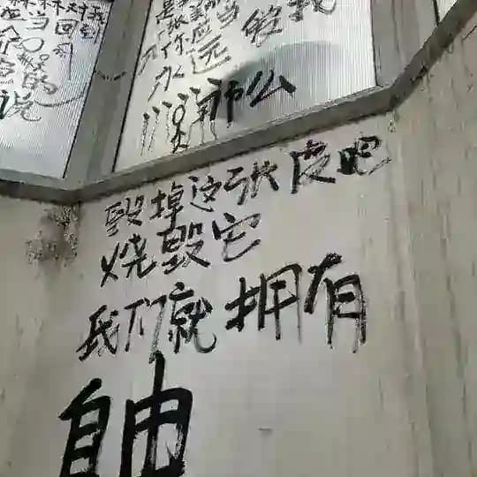 ‌ ‌‌ ‌ ‌ ‌nikko ‌ ‌ ‌ ‌( nick name )