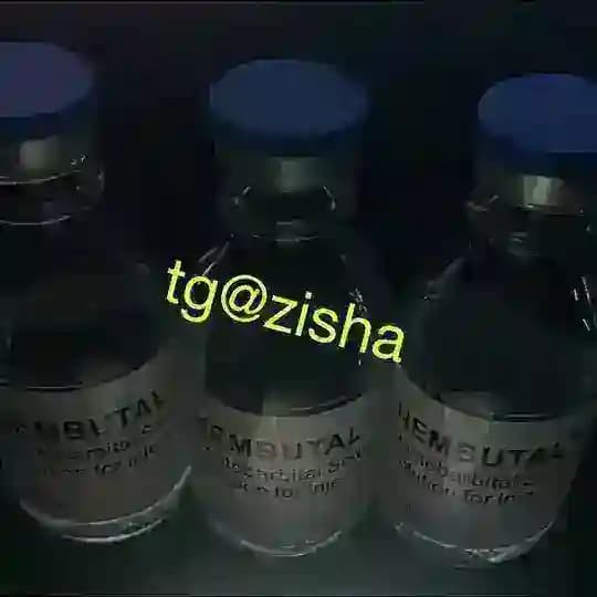 USDT担保 专业自杀