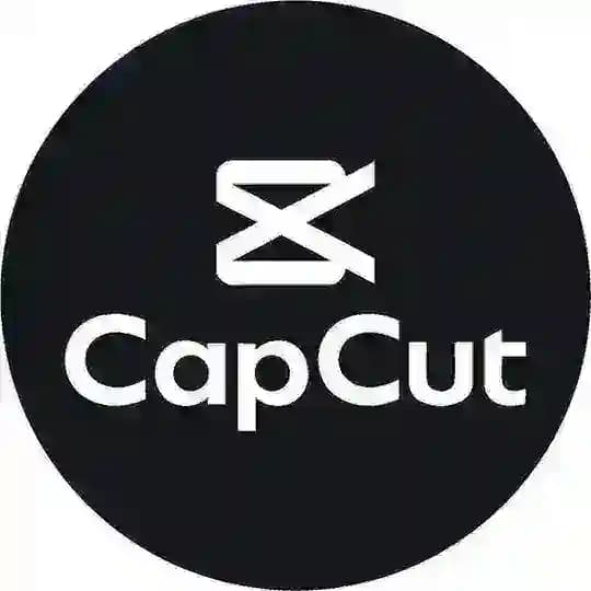 Use CapCut Template