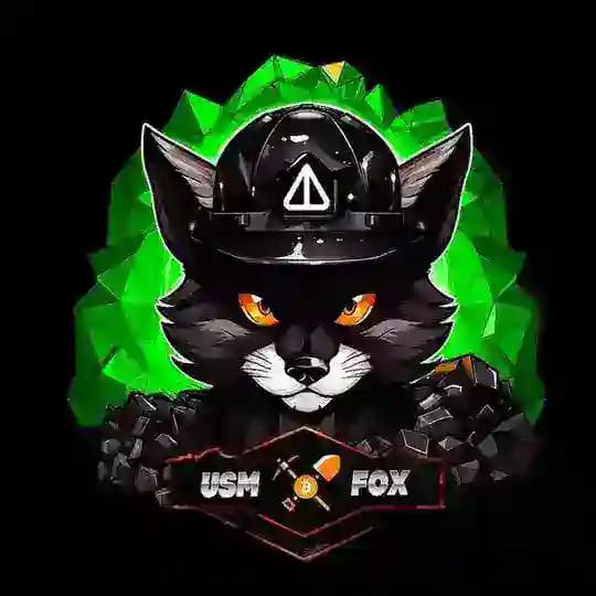 USMFOX | КРИПТО АКТИВНОСТИ