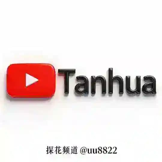 🅥探花精品资源