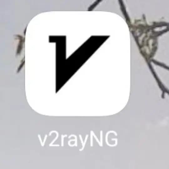 v2ray