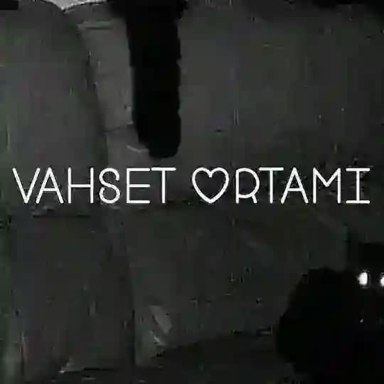 VAHŞET KAOS İŞGENCE KAZA KORKU KESİT DEEPWEB TÜRKİYE SAVAŞ İNTİHAR KORKU VİDEOLARİ İNFAZ