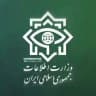 وزارت اطلاعات، سازمان سپاه