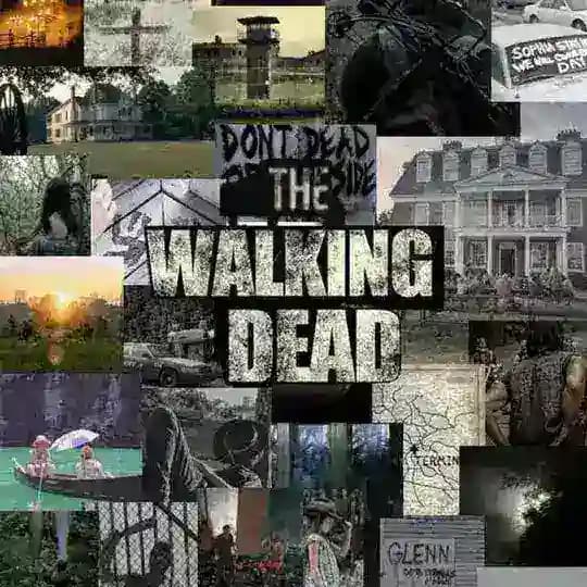 دریل دیکسون | Daryl Dixon | مردگان متحرک | Dead city | واکینگ دد