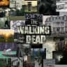 دریل دیکسون | Daryl Dixon | مردگان متحرک | Dead city | واکینگ دد