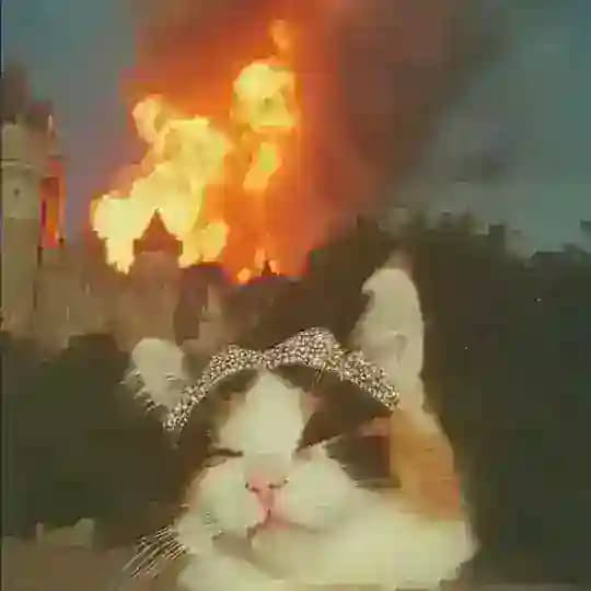 Две Луны Валери Рэм 🌗