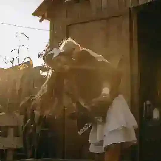 Васильковые будни🪻