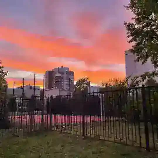 Васька здесь