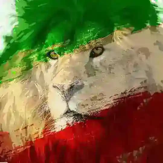 وطنبان!