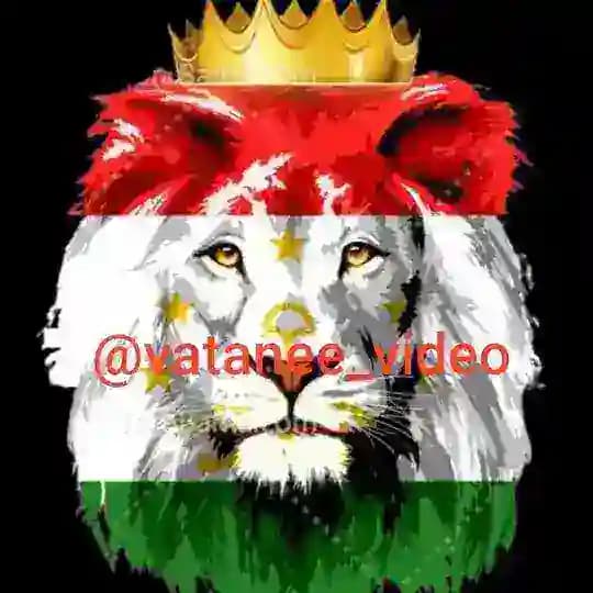 ویدئو وطنی