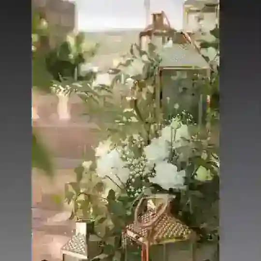 Katıl Vaveyla Sözler 🌘