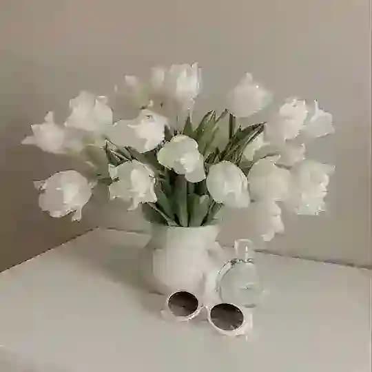 ڤِــيولـآ 𓂆.