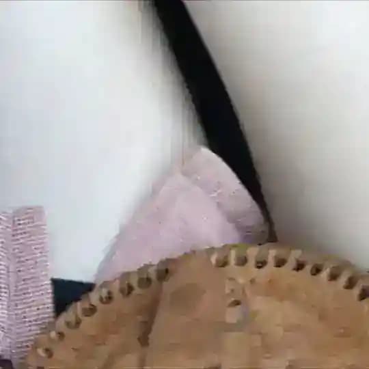 ʟɪᴠʏ • ᴄʟᴜʙs`ɴ
