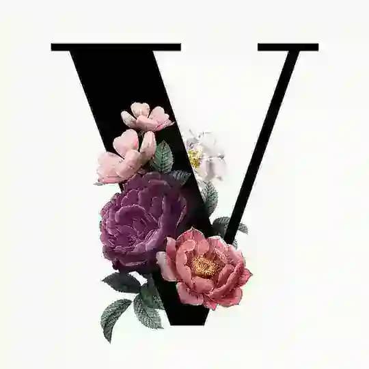 Vector of ideas