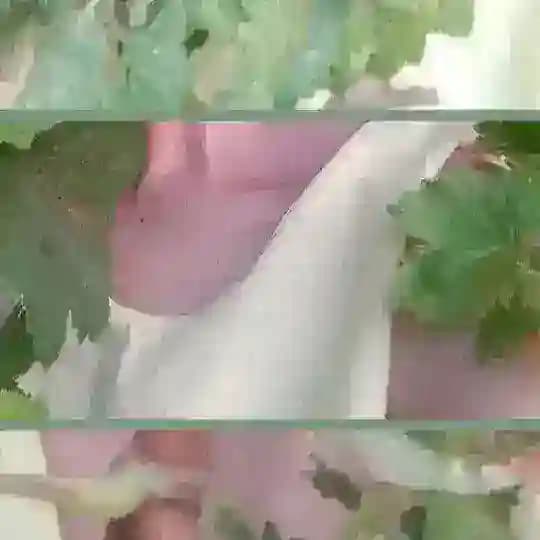 le vent nous portera