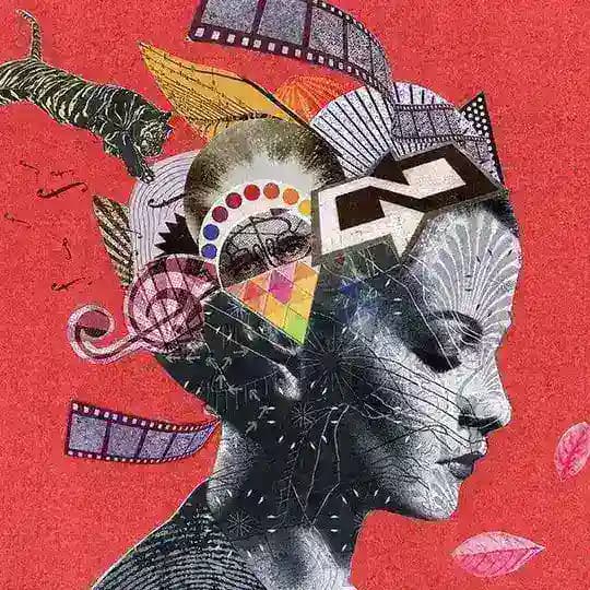 Vers la France 🇫🇷 Profile