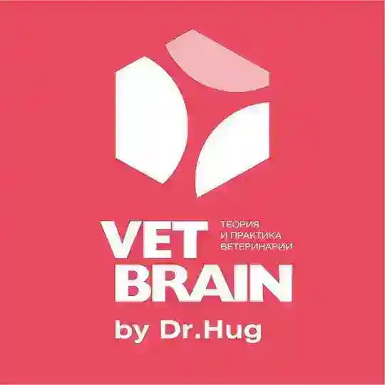 Vet Brain