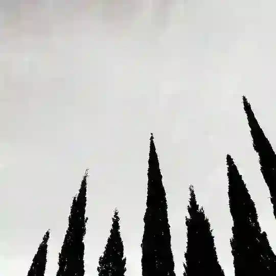 ветер do it