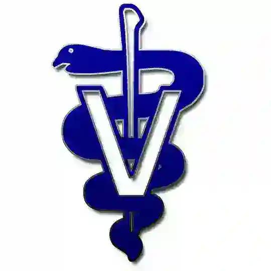 VETS 4 VETS