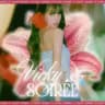 𖦹 Vicky Soirée: Sunkissed Gossamer.