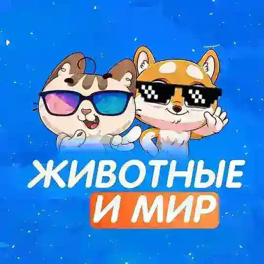 Мир и Животные
