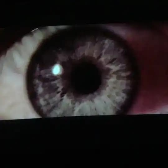 videoeye