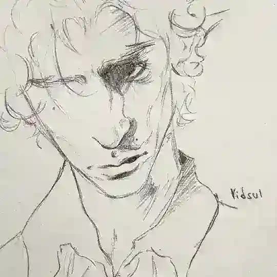vidsul