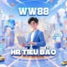 Nhà HR Tiểu Bảo 🧢 – Gửi Niềm Tin, Nhận Cơ Hội