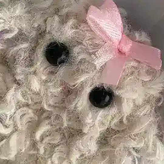 наличие la beauté