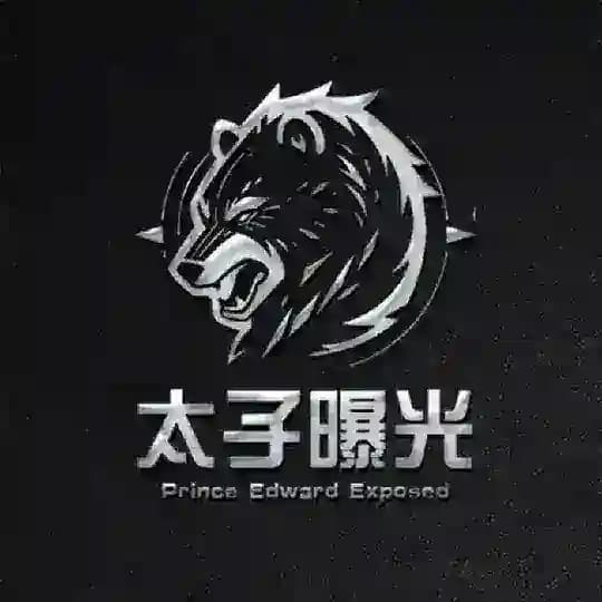 太子支付曝光｜悬赏通缉令💥