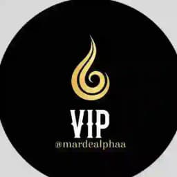 🌪️ VIP 🌪️ Profile