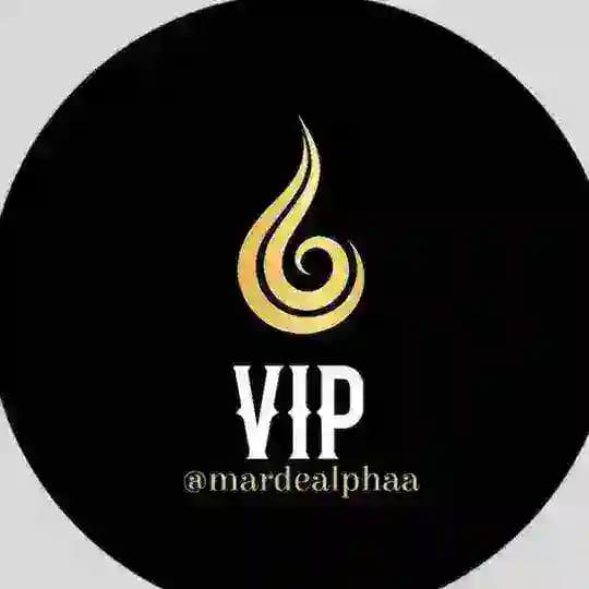 🌪️ VIP 🌪️ Profile