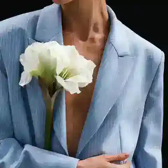 virgotex.ru