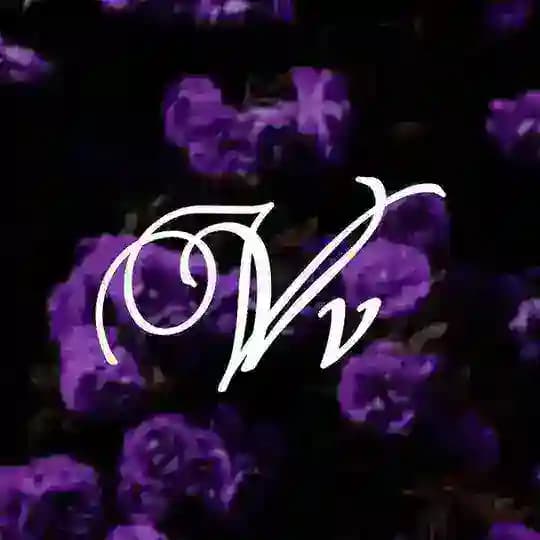𝐕𝐕