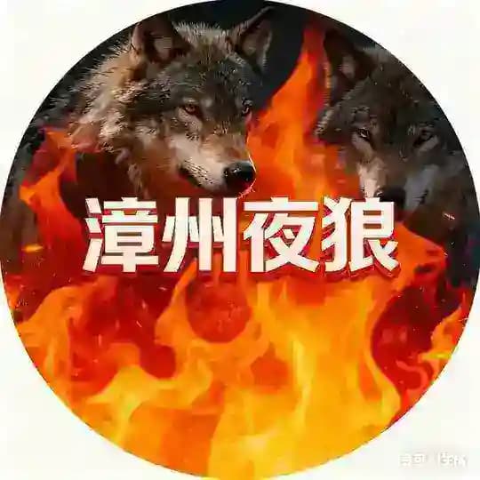 漳州 (夜狼) 🔥中小⭕️圈