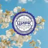 Владивостокский цирк ФКП "Росгосцирк"