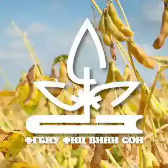 ВНИИ сои