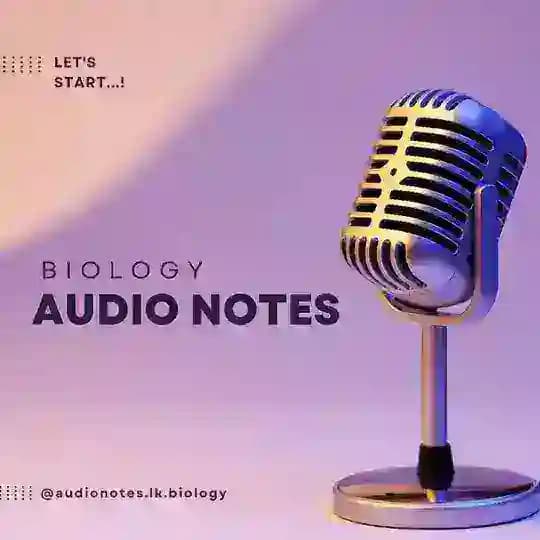 Audio notes.lk triple🎧📚